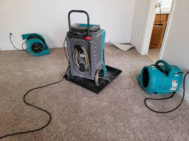 Best Water damage contractors near me  in Sedalia, MO