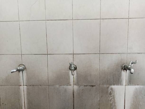 Best Mold removal after water damage  in Sedalia, MO