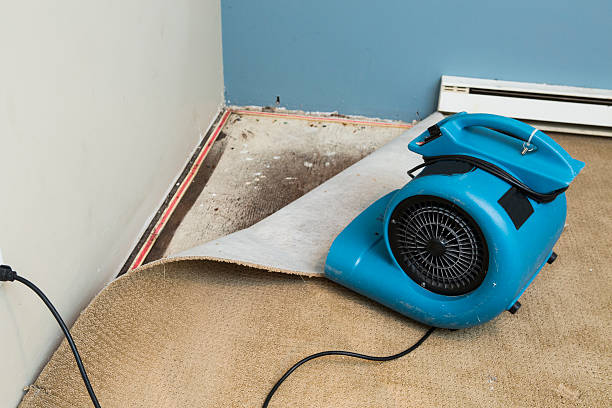 Best Sewage cleanup and water damage restoration  in Sedalia, MO